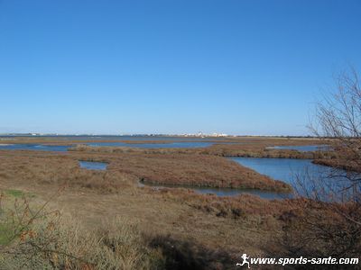 Etangs lagunaires et Palavas les flots